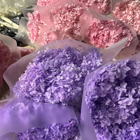 Vente en gros d'arrangements floraux pour la maison Décoration de mariage Grande fleur séchée d'hortensia Anna conservée