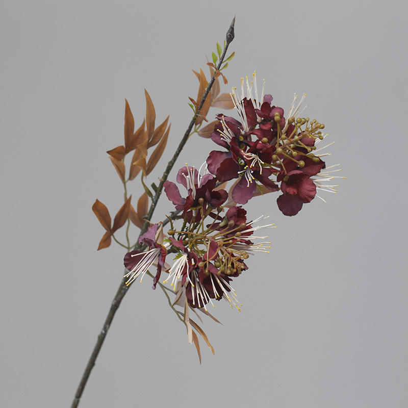 สีน้ำตาล