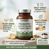 Rainwood Mélange d'enzymes digestives végétales en capsules, Protéase Amylase Lipase Lactase, Fournisseur OEM, Marque privée
