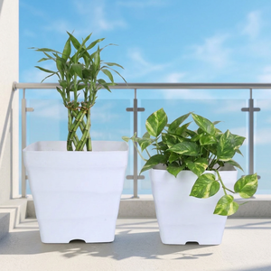 Macetas Cuadradas Blancas de PP con Orificios de Drenaje para Plantas Verdes de Interior, Diseño Moderno y Minimalista, Uso en Escritorio, Tamaño Grande - Product Image 1