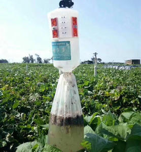 Trampa Líquida Ecológica para <span class=keywords><strong>Gusano</strong></span> del Tabaco (Spodoptera Litura), Solución Agrícola para Invernaderos y Exteriores - Product Image 1