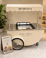 Chariot de présentation mobile pliable en acier inoxydable pour glaces et snacks, avec auvent, idéal pour événements extérieurs – Vente directe usine