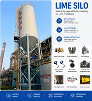 Système complet de stockage de poudre d'hydroxyde de calcium avec silo, alimentateur à vis, dépoussiéreur, trémie vibrante et décharge automatique
