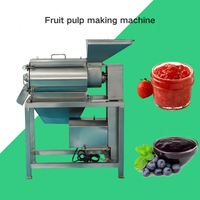 RVS commerciële fruitpers voor mango, tomaat, granaatappel, bessen en groenteverwerking