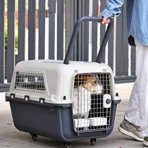 Fabrika fiyat toptan Pet uçuş sandık seyahat kafes taşınabilir plastik köpek kafesi - Product Image 4