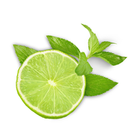 Exportation de citron sans graines/citron vert sans pépins à prix compétitif du Viet Nam pour l'exportation 2023 VIETNAM AGRICULTURE Marque