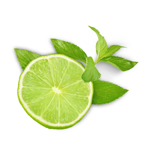 มะนาวไร้เมล็ด/มะนาวไร้เมล็ดส่งออกจากเวียดนามสำหรับการส่งออก2023เวียดนามแบรนด์ทางการเกษตรจากเวียดนาม - Product Image 5