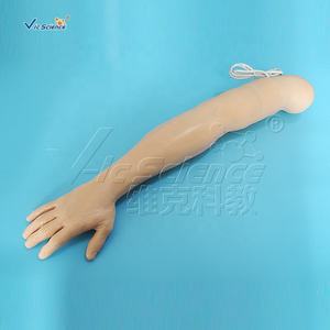 หุ่นจำลองการพยาบาลวิทยาศาสตร์การแพทย์แขนฝึกความดัน<span class=keywords><strong>โลหิต</strong></span>โมเดล<span class=keywords><strong>การ</strong></span>ศึกษาวิทยาศาสตร์ทางการแพทย์ - Product Image 3