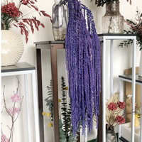 Bunga Kering Amaranthus Love Lies Bleeding Alami Langsung dari Pabrik, Tahan Luntur Warna, untuk Rangkaian Bunga dan Dekorasi Rumah Pernikahan