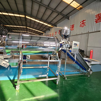 Nouvelle machine d'assaisonnement automatique 1000 kg/h pour la transformation de snacks et de chips