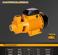 Pompe à eau propre DingQi 370W 0.5HP 104001A 220V 50Hz avec port 1"*1" et hauteur de refoulement max. 26,713m pour l'irrigation domestique et le jardin