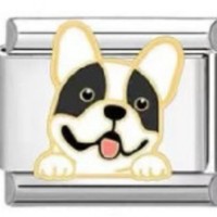 Nouveau module de chien italien bricolage à la mode Bracelet élastique en acier inoxydable bijoux cadeaux article