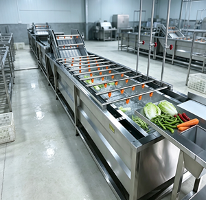 Machine industrielle de lavage de légumes, machines de lavage et d'emballage de légumes, machine de lavage à bulles pour pousses de haricots - Product Image 5