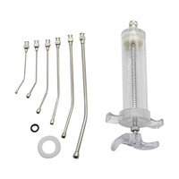 10ml/20ml/50ml/100ml Vogelfütterungsspritze Papagei Taube Manueller Fütterer Edelstahl-Erweiterungssonde Kleintier-Fütterungswerkzeuge
