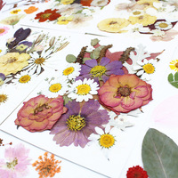 Kit de fleurs séchées pressées multi-tailles pour bricolage, matériel fait main pour moule en résine, décoration de coque de téléphone, confettis de mariage