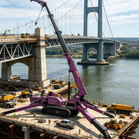 Grúa Araña RST L-685 de 5 Toneladas, Diésel Hidráulico, con Certificación CE, Plataforma Elevadora de 21m para Obras de Construcción Urbanas