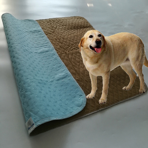 Nouvelle arrivée coussin <span class=keywords><strong>Pour</strong></span> Animaux de Compagnie chiot tapis d'entraînement <span class=keywords><strong>chien</strong></span> sleping avec <span class=keywords><strong>antidérapant</strong></span> gel <span class=keywords><strong>bas</strong></span> - Product Image 1