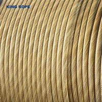 PVC Berkualitas Tinggi Berlapis Elektro-galvanis 6x36+IWRC GOST 7668-80 2668-80 Pelumas Anti-karat Berkualitas Tinggi API Gulungan Kayu