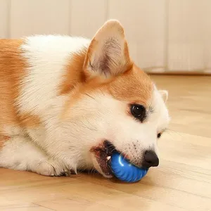 USB interaktif akıllı köpek oyuncak topu otomatik hareketli dönen Puppies Puppies için lüks spor moda <span class=keywords><strong>Pet</strong></span> oyuncak plastik kutu ambalaj - Product Image 5