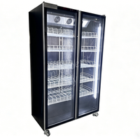 Réfrigérateur commercial à double porte vitrée pour boissons, vin et bière, pour bar, supermarché, magasin