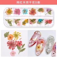 Bunga kering grosir untuk seni kuku 3D stiker dekorasi kuku Lavender asli bunga aster ditekan bunga kering manikur