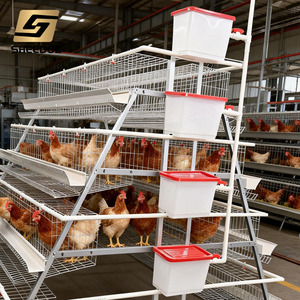 Jaulas de Batería para Aves de Corral Gallinas Ponedoras, Tipo A, para Ponedoras en Granjas Avícolas - Product Image 3