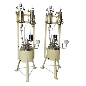 Laboratory continuous pressure reactors