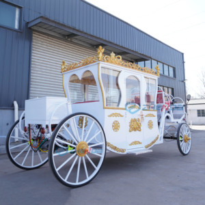 Calèche royale européenne électrique pour photographie de mariage et réception panoramique, la plus populaire, calèche royale à chevaux à vendre - Product Image 3