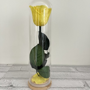 Flor preservada Cúpula <span class=keywords><strong>de</strong></span> <span class=keywords><strong>cristal</strong></span> Eternal Single Rose Forever Roses para regalo <span class=keywords><strong>de</strong></span> San Valentín - Product Image 4