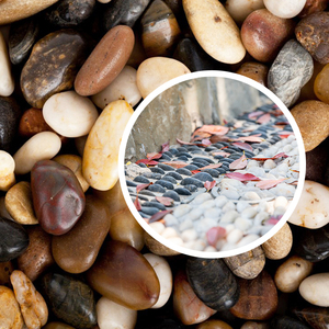 Piedras de Lluvia Naturales, Piedras Decorativas para Acuarios, Paisajismo, Decoración de Macetas, Piedras Pequeñas Coloridas - Product Image 3