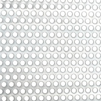 Lámina Metálica Perforada de Acero Inoxidable 304 Anticorrosión, Panel con Orificios Redondos para Cercas Exteriores Costeras, Servicios de Corte y Doblado