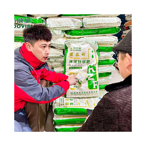 Chất lượng cao NPK 17-17-17 phân bón tảo phân bón HEBEI hợp chất phân bón - Product Image 4