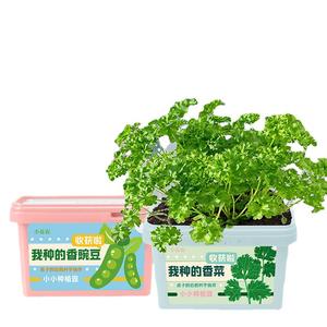 Boîte d'observation des plantes Xiaohua pour enfants, kit de culture DIY, kit de graines de tournesol et de fraises, jouet d'exploration de la nature pour enfants - Product Image 2