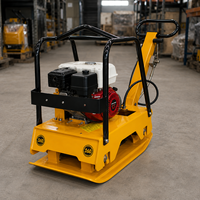 Compacteur à plaques réversible robuste de 133 kg (30 kN) pour le compactage du sol - Vente en gros