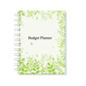 Agenda Finanziaria Mensile, Organizzatore e Libro per la Gestione del Budget. Quaderno di controllo spese per gestire il tuo denaro. Non datato - Product Image 3