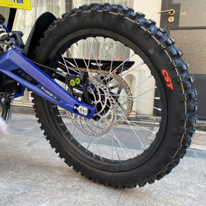 2025 X Bike Eco-Friendly High-Performance Motorcycle with 60v Light Zero Emissions - Product Image 2