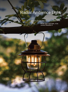 โคมไฟโลหะแนววินเทจชาร์จไฟได้ USB โคมไฟตั้งแคมป์แบบย้อนยุคแบบพกพาสำหรับตกแต่งกลางแจ้งดีไซน์ใหม่2025 - Product Image 2