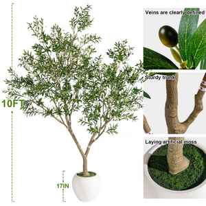 Arbre d'olivier artificiel <span class=keywords><strong>avec</strong></span> un tronc <span class=keywords><strong>en</strong></span> résine réaliste et des feuilles vertes pour la décoration intérieure du bureau, du salon, <span class=keywords><strong>avec</strong></span> un <span class=keywords><strong>pot</strong></span> blanc - Product Image 5