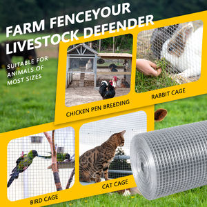 Kain perangkat keras celup panas galvanis setelah pengelasan pagar kawat gulungan jala 1/2 "X 24" X 50 'X 19GA - Product Image 1