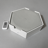 Nouveauté : Jouet interactif rechargeable pour chat avec distribution automatique d'eau, jouet intelligent pour chat d'intérieur