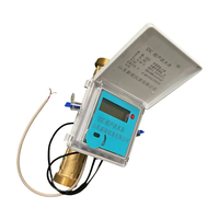 Wholesale DN25 Anti-Corrosion Brass Ultrasonic Cold Water Measuring Meter