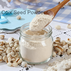 Tedarik Coix tohum fiyatı organik Coix tohum tozu iş gözyaşları tozu Protein tozu - Product Image 1