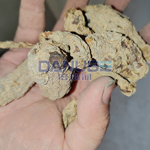 Danube 2025 High-Quality Automatic Freeze Dryer Food Dryer Customizable Dryer <b>Machine</b> - Product Image 5