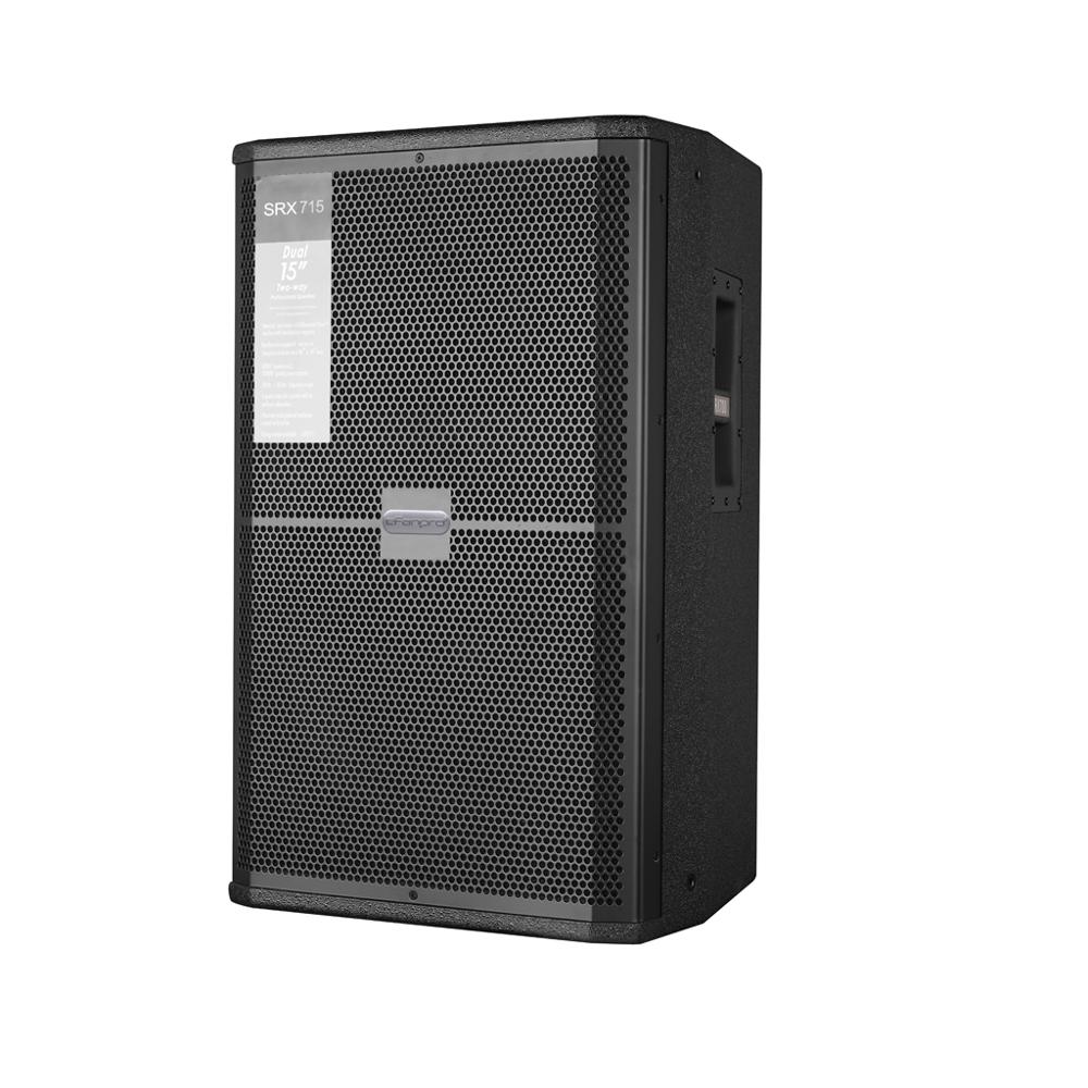 Professional P Audio 15 Inch Active Speakers Price
