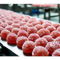 Moule à amidon semi-automatique Machine à bonbons à la gelée Machine à fabriquer des bonbons mous Gummy Candy Starch Mogul Line