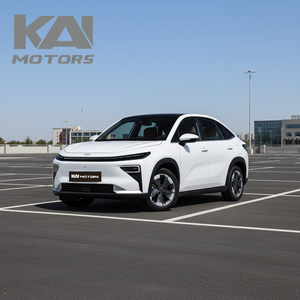 2026 per Boyue REV SUV 160kW 327Nm Batteria 50.4kWh Prestazioni in Altitudine Sospensioni FSD Esportazione su Strade di Montagna - Product Image 1