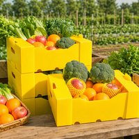 Emballage recyclable en PP ondulé, boîte de rangement en Corflute, bacs en plastique, boîte d'emballage, boîte en Coroplast pour fruits