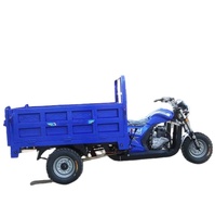 Motocyclette cargo à trois roues à carrosserie ouverte avec side-car, moteur à essence, motorisée pour adultes