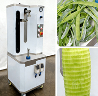 Gemotoriseerde fruit- en groenteschiller voor taro, pompoen, ananas, mango en jackfruit 220V/380V 1000W