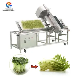 Máquina cortadora de brotes de soja tipo bandeja comercial para siembra de guisantes aceite de girasol semillas de maní